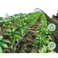 Drip Irrigation systems for garden farms