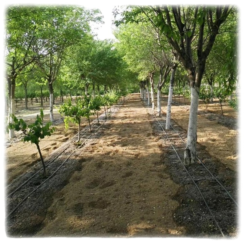 Drip Irrigation systems for garden farms