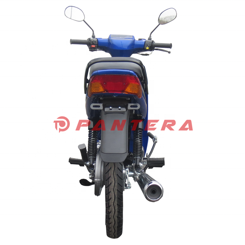 110cc Gasoline Scooter 70cc 100cc Moped Cheap Motor Bike