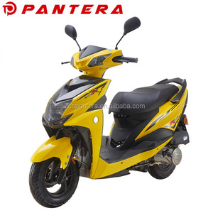 4-Stroke Mini Adult Motorcycle 4 Stroke Gas Powered Scooter 49cc