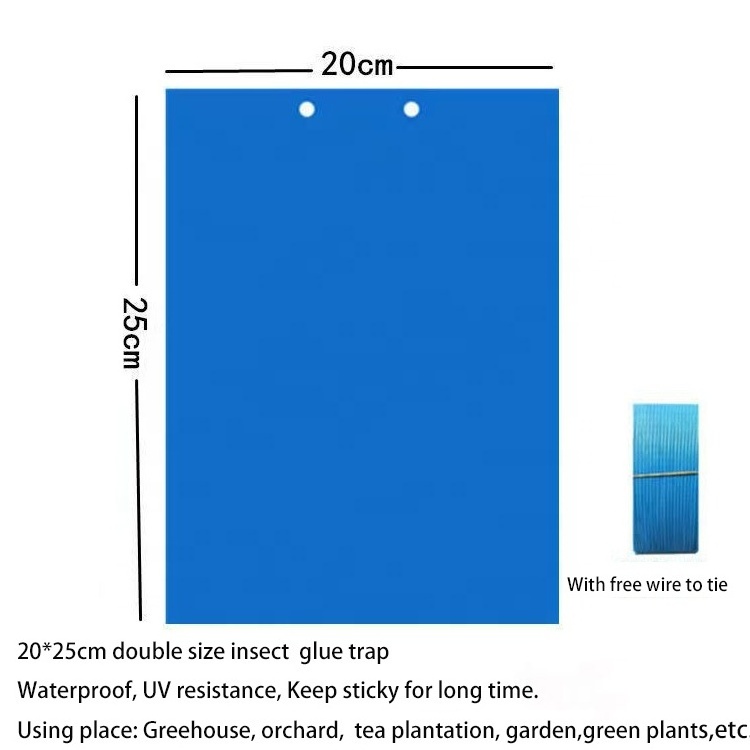 UV resistance yellow blue Glue Board for Insect Glue Trap for Flies Adhesive Sticky Traps