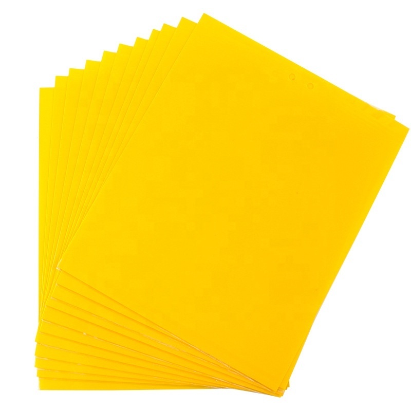 UV resistance yellow blue Glue Board for Insect Glue Trap for Flies Adhesive Sticky Traps