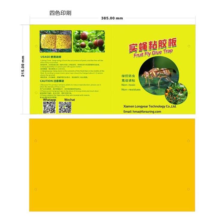 Blue fruit fly sticky trap glue trap for fruit with pheromone mixed in glue