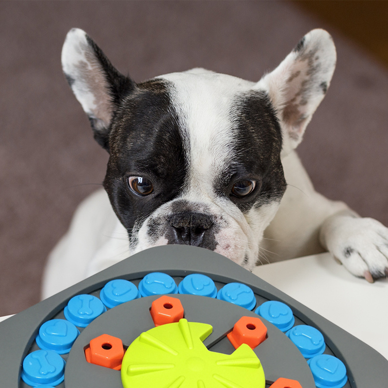 Interactive Turntable Pet Puzzle Toys Slow Food Dispenser Treat Tot for Dogs and Cats