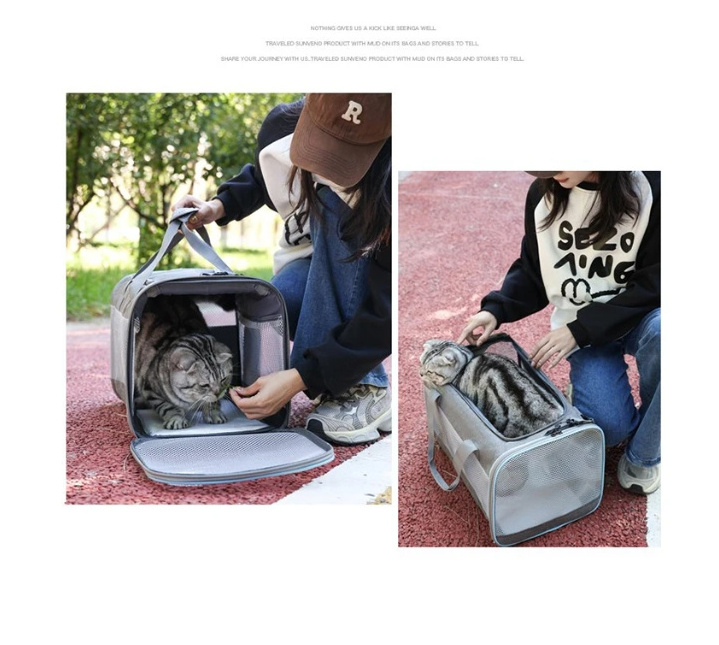 Dog Backpack With Trolley 2 In 1 Cat Backpack Cat Stuffed Toy Bags Men's Backpack Cat 15.6