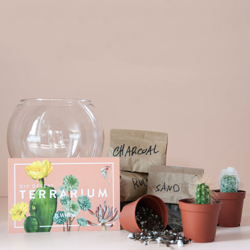 Indoor Mini Desert Terrarium Kit Wholesale Plant Terrarium Containers Cactus Succulent Planter Garden Kit