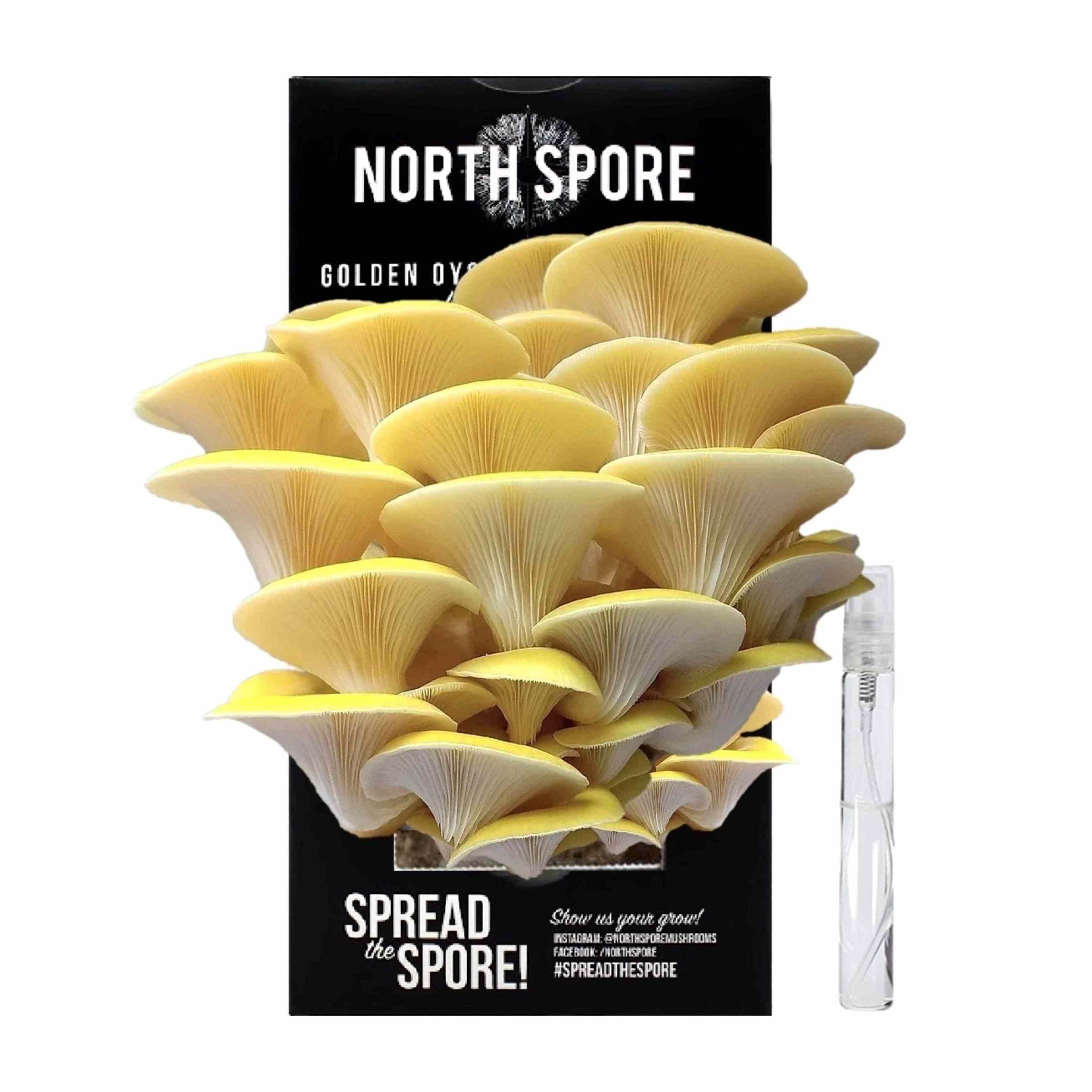 elegant 'Spray & Grow' Golden Oyster mushroom craft grow indoor kit system packaging