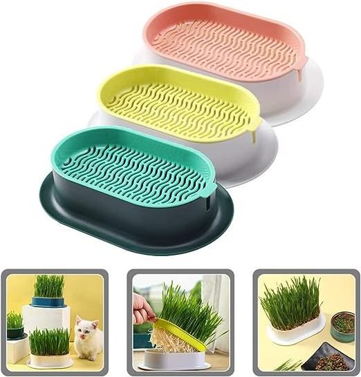 Organic Indoor Cat Grass Planter Planting Box Soil Free Cat Grass Grower Planting Box Cat Grass Kit