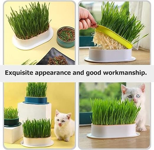 Organic Indoor Cat Grass Planter Planting Box Soil Free Cat Grass Grower Planting Box Cat Grass Kit