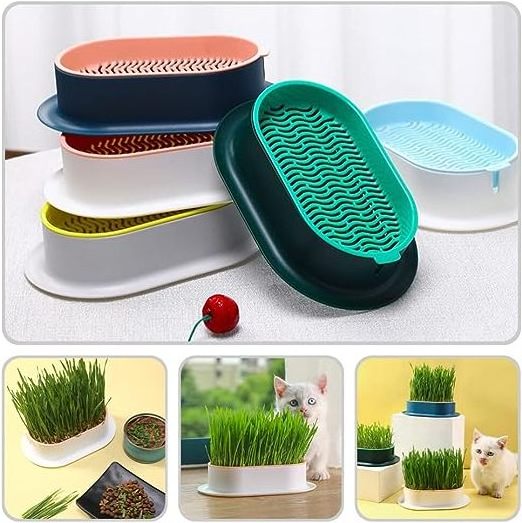 Organic Indoor Cat Grass Planter Planting Box Soil Free Cat Grass Grower Planting Box Cat Grass Kit