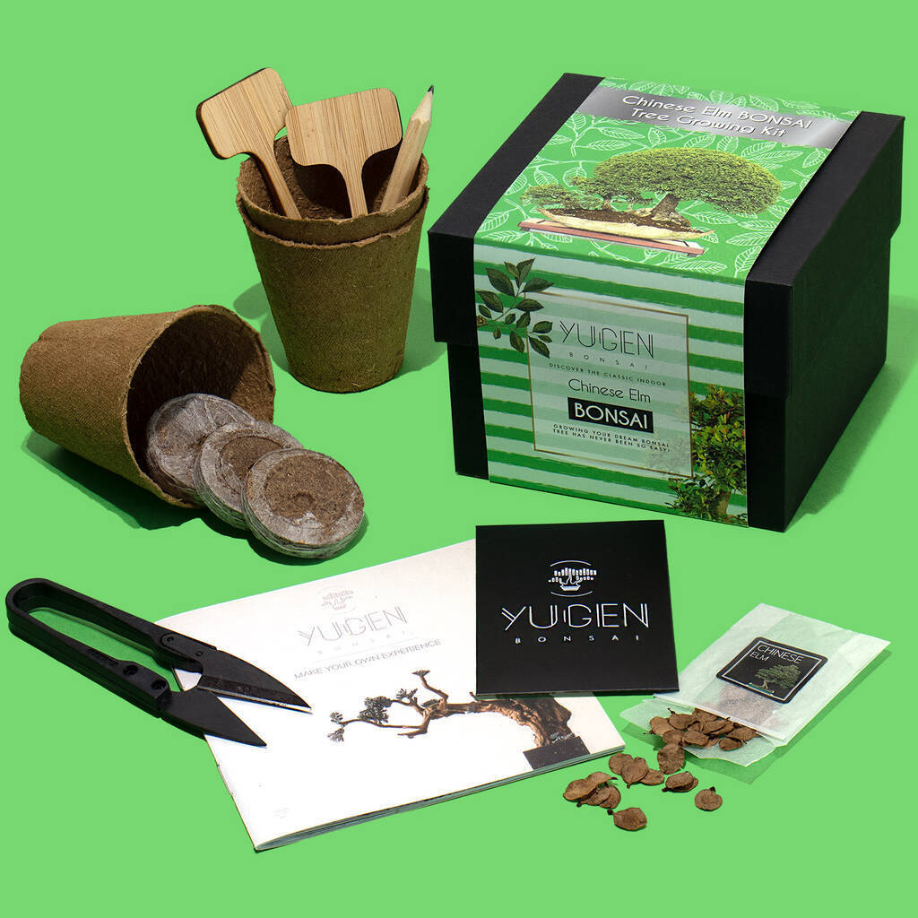 Chinese Elm Bonsai Tree Growing Kit Pot Unique Gardening Gifts Tool Set Species Set Bonsai Starter Kit