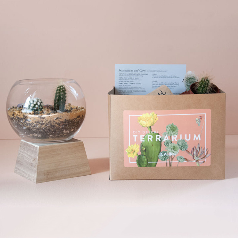 Indoor Mini Desert Terrarium Kit Wholesale Plant Terrarium Containers Cactus Succulent Planter Garden Kit