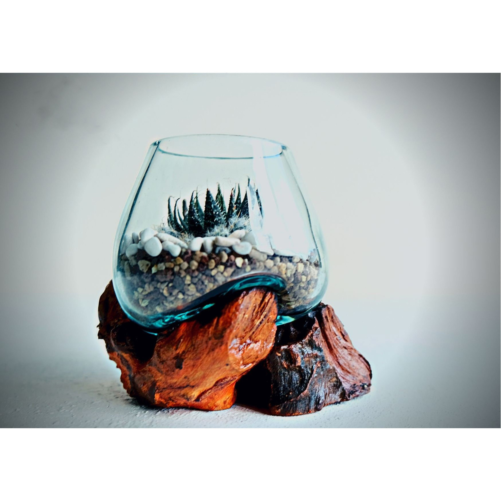 Customized Melted Glass On Driftwood Air Plant Planters Blown Glass Bowl With Driftwood For Indoor Decoration