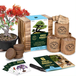 Unusual Christmas Gifts Ideas Bonsai Starter Kit  Gardening Gift For Women Bonsai Tree Complete Growing Kit Bonsai Tree Best