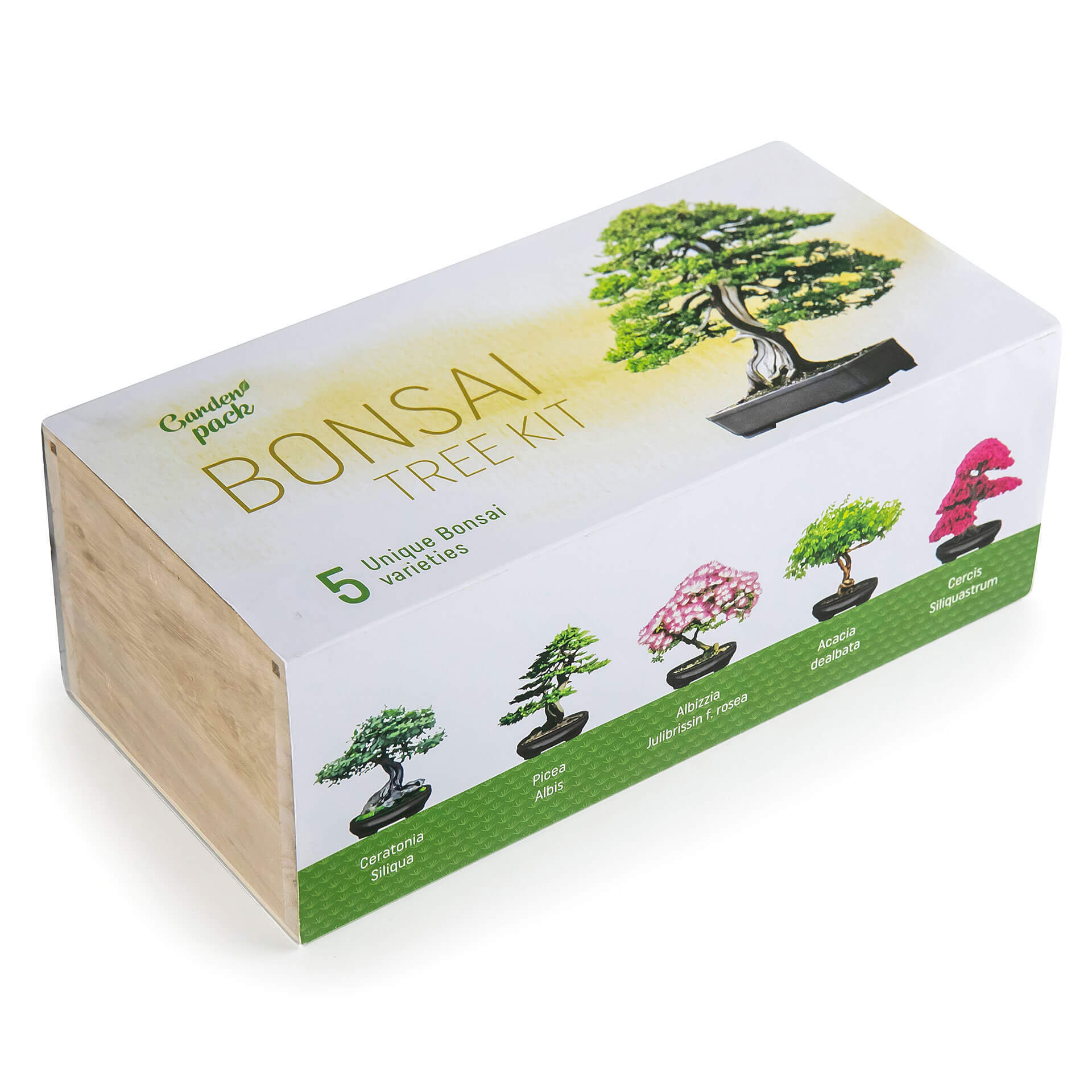 Modern Country-Style Bonsai Tree Kit  Wholesale Starter Kit with Tools for Beginners and Adults for Wall or Floor Use