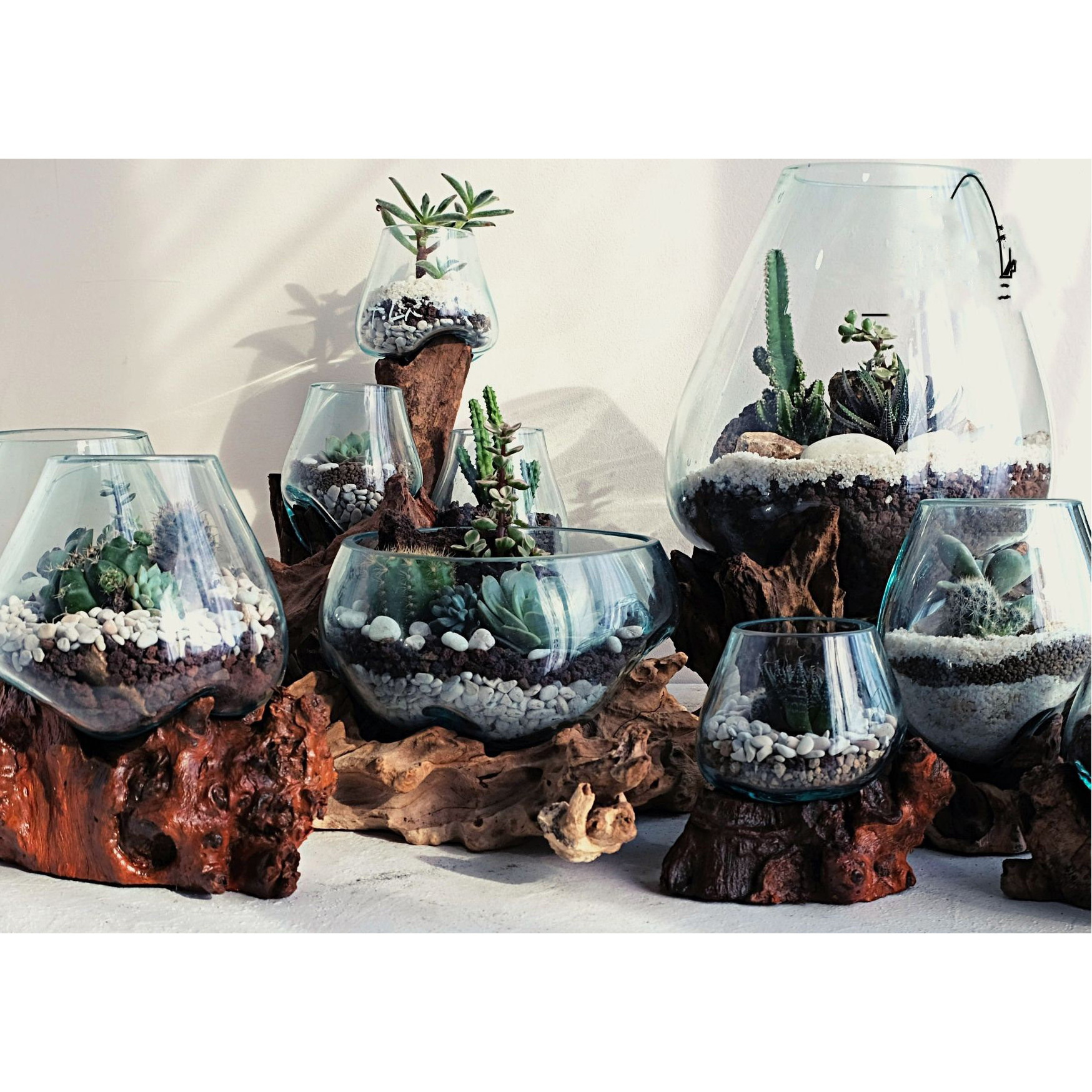 Wholesale Custom Irregular Shapes Glass Vases Terrariums Wood Succulent Garden Planter Driftwood Glass Bowl