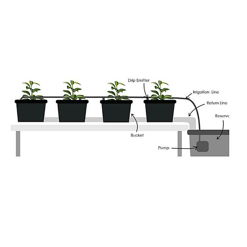 Complete greenhouse hydroponic growing system dutch bucket for vegetable