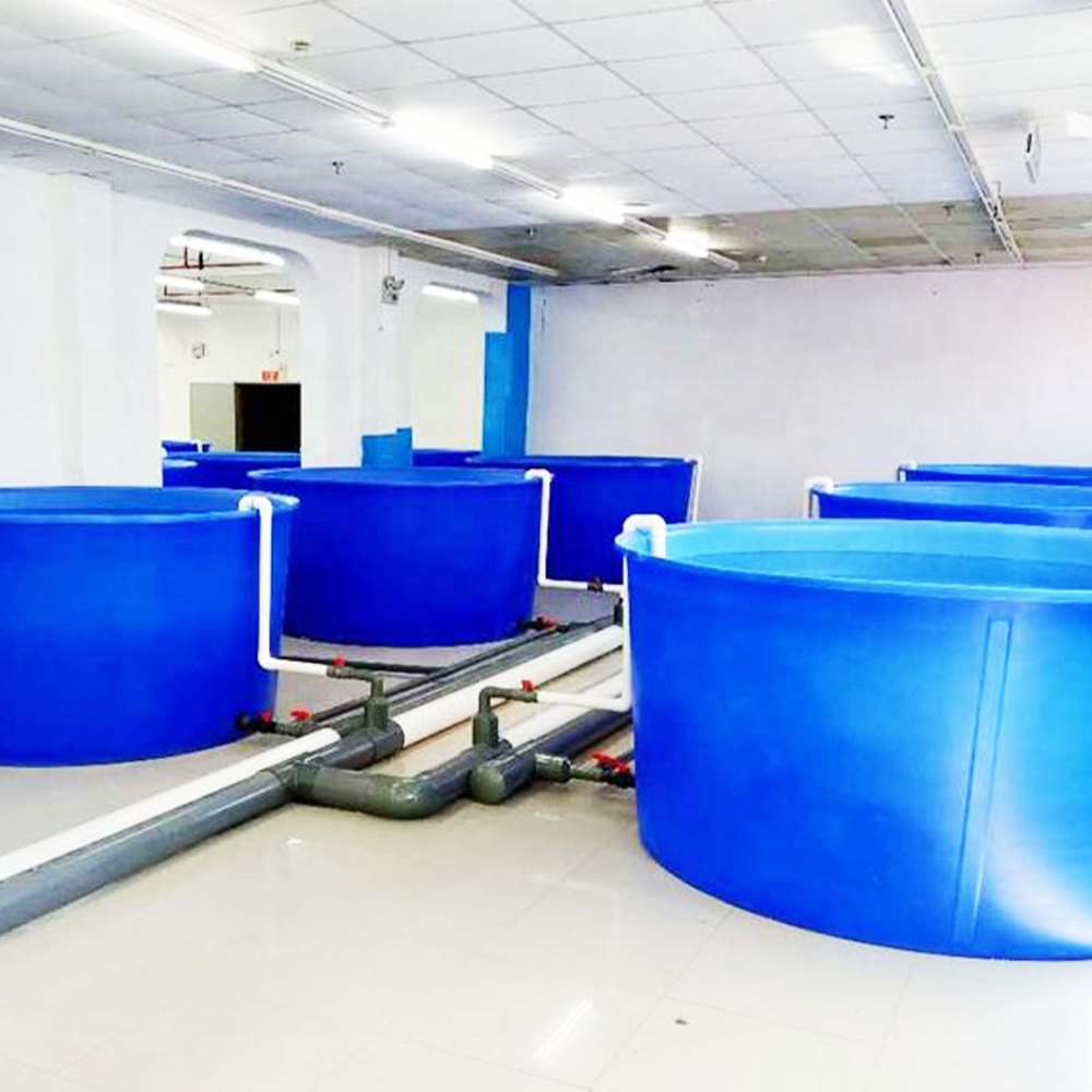 ZSPE Hot Sale High Quality round Blue PP Plastic Aquaculture Tank for Fish Farming and Fish Breeding