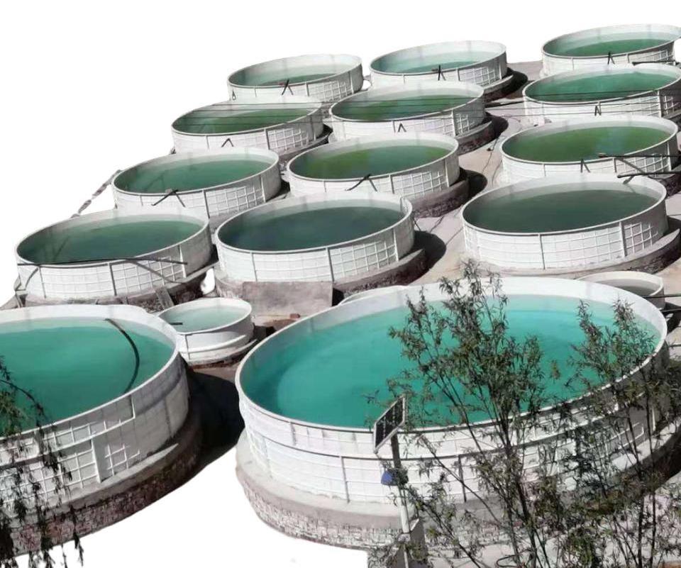 Blue Food Grade PP Fish Tank Aquaculture Equipment