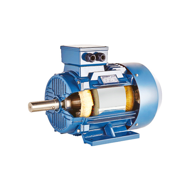 standard approved High Efficiency Three Phase Electric AC Asynchronous Motor 6Poles 960RPM 3KW