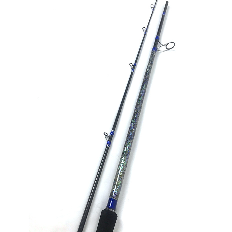 40t Carbon Fiber Fishing Rod Abalone Shell 2 Section Japan Fuji Carbon Spinning Fishing Rod