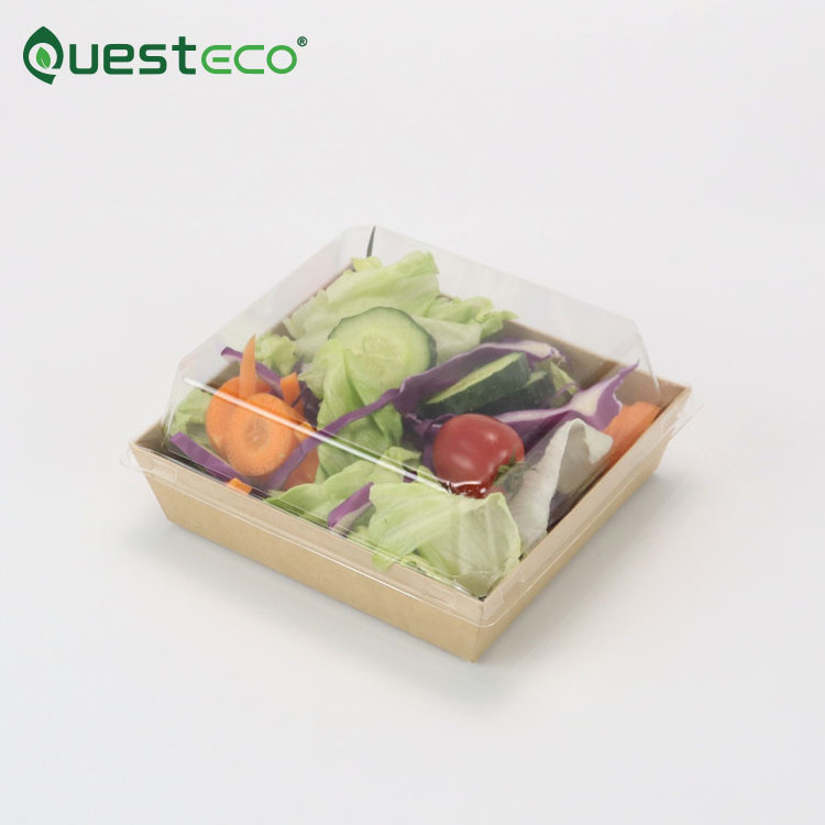 Questeco Brown Square Salad Kraft Paper Cheesecake Box 12x11x6.5cm Takeaway Salad Box Breakfast Sushi food Tray with Plastic Lid