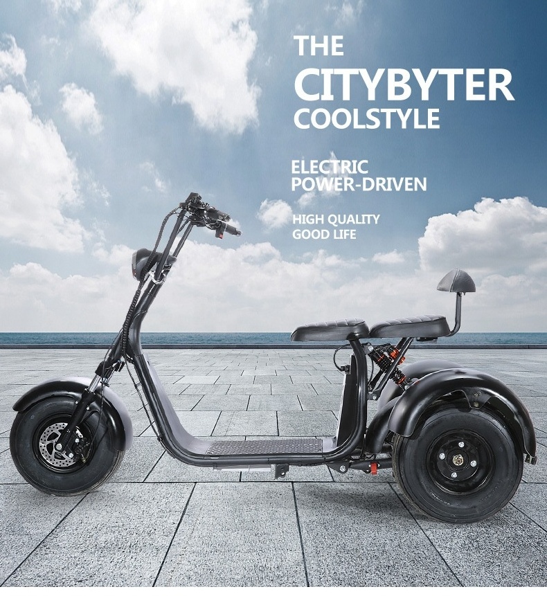 Best price scooter three wheel bicycle with 2 seat hot selling 3 wheel electric scooter citycoco x7 3 wheel motorcycle scooter