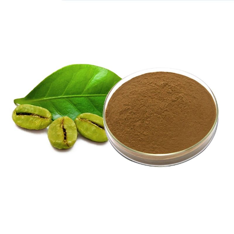 Natural Green Coffee Bean Extract 10% Chlorogenic Acid Powder