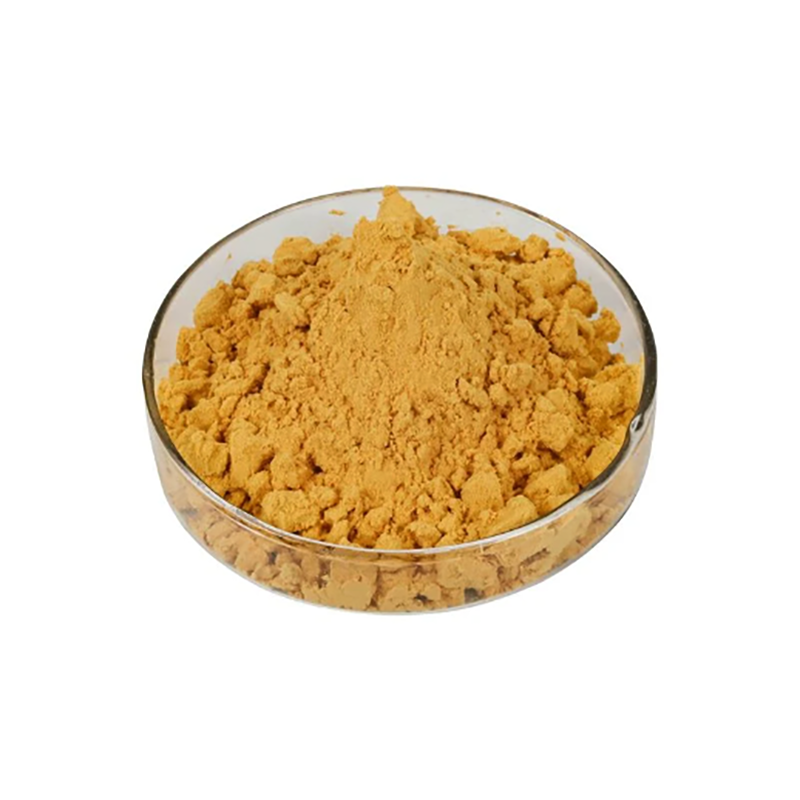 Citrus Aurantinum Extract Bitter Orange Extract Powder 10% Synephrine CAS 94-07-5