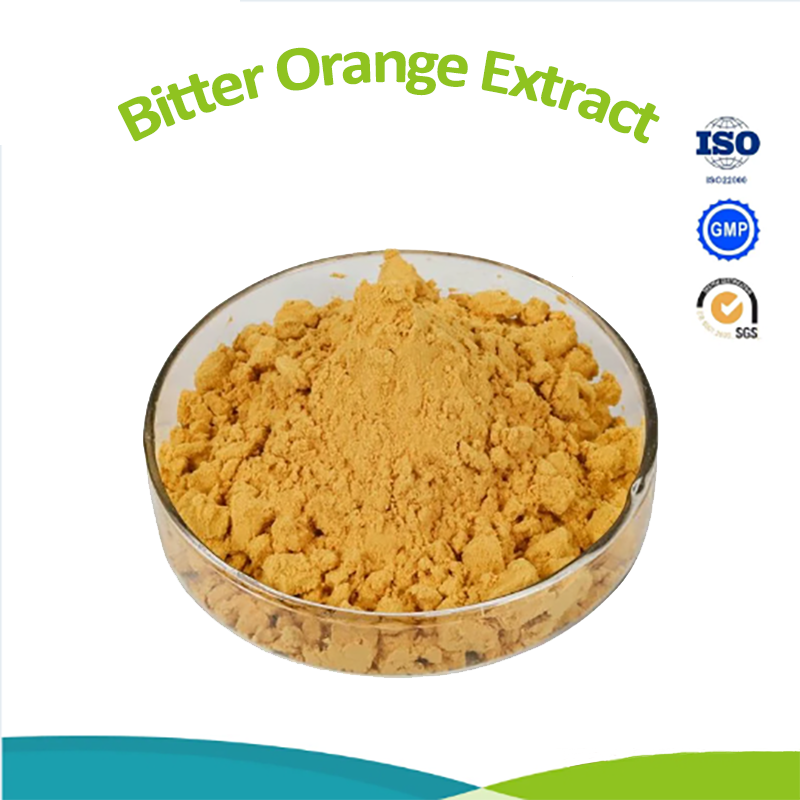 Citrus Aurantinum Extract Bitter Orange Extract Powder 10% Synephrine CAS 94-07-5