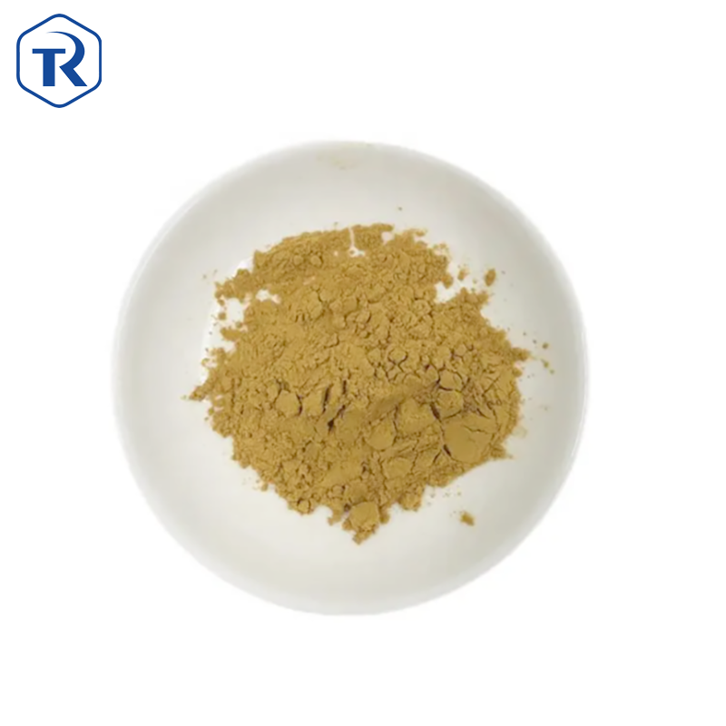 Citrus Aurantinum Extract Bitter Orange Extract Powder 10% Synephrine CAS 94-07-5