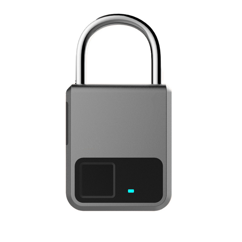 Finger Print Travel Smart Cabinet Padlock Locks