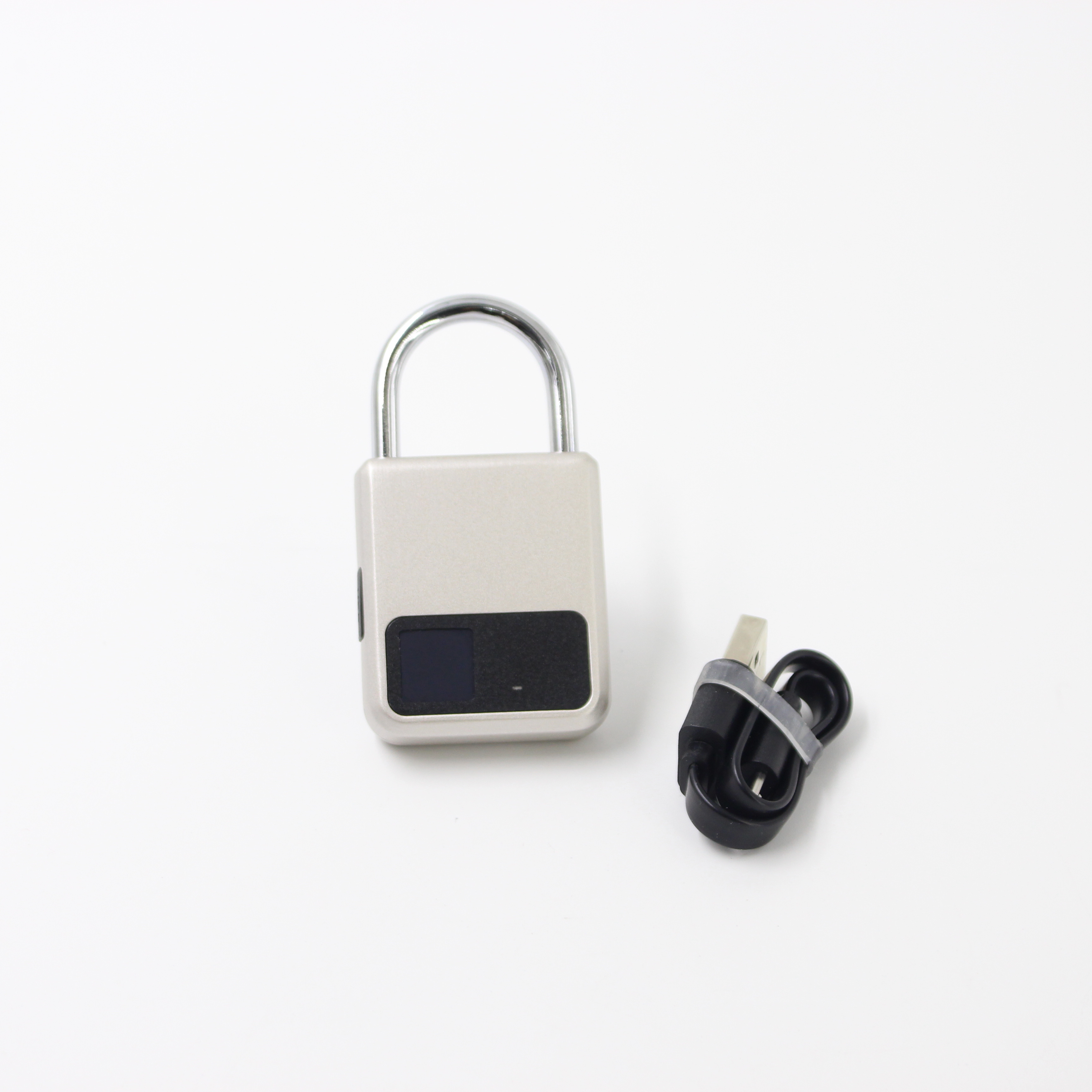 Best Master Combination Fingerprint Safety Padlock