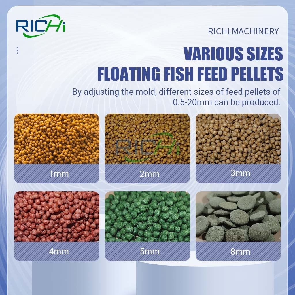 RICHI Customized Floating and Sinking Trout Fish Feed Making Machine