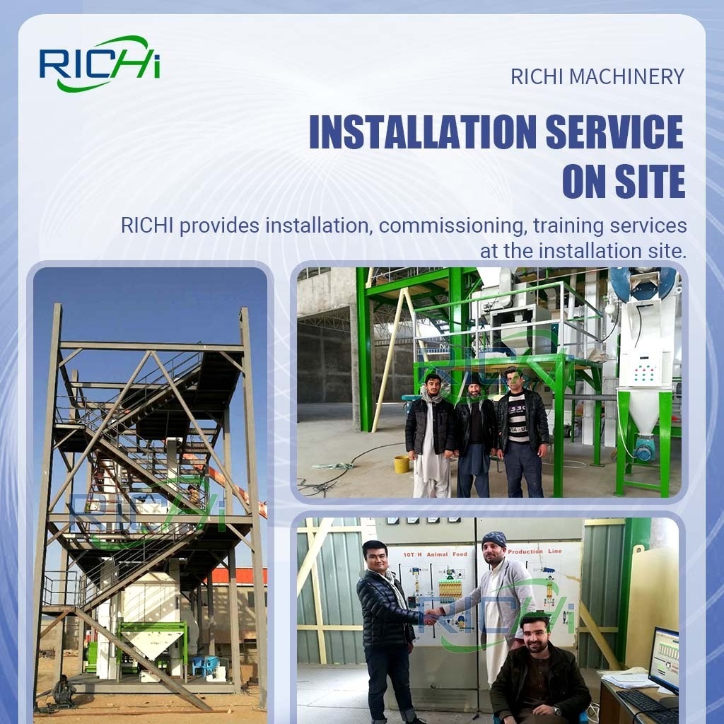 RICHI Customized Floating and Sinking Trout Fish Feed Making Machine