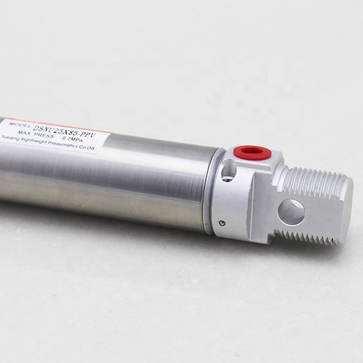 ISO DSNU DSN double acting compressed air piston mini stainless steel cushioned pneumatic air cylinder with cushion