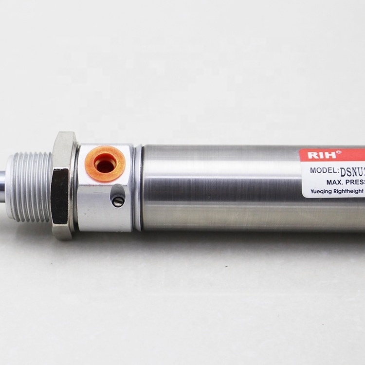 ISO DSNU DSN double acting compressed air piston mini stainless steel cushioned pneumatic air cylinder with cushion