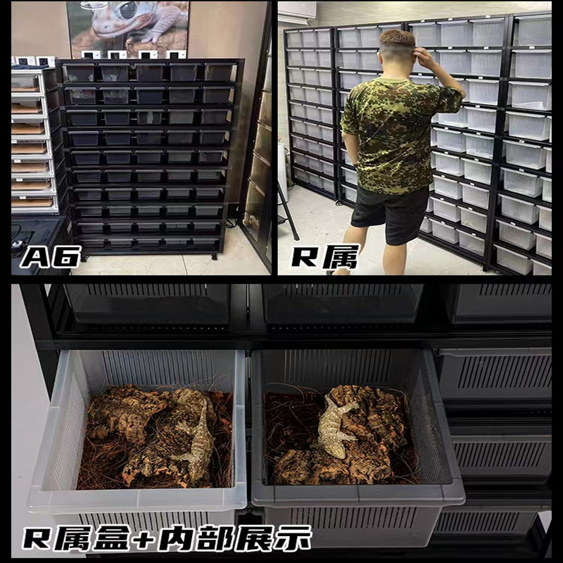 Reptile Rack system Small Python Boa Reptile plastic pp breeding box tubs System Lizard rack With Tubes And Wheels