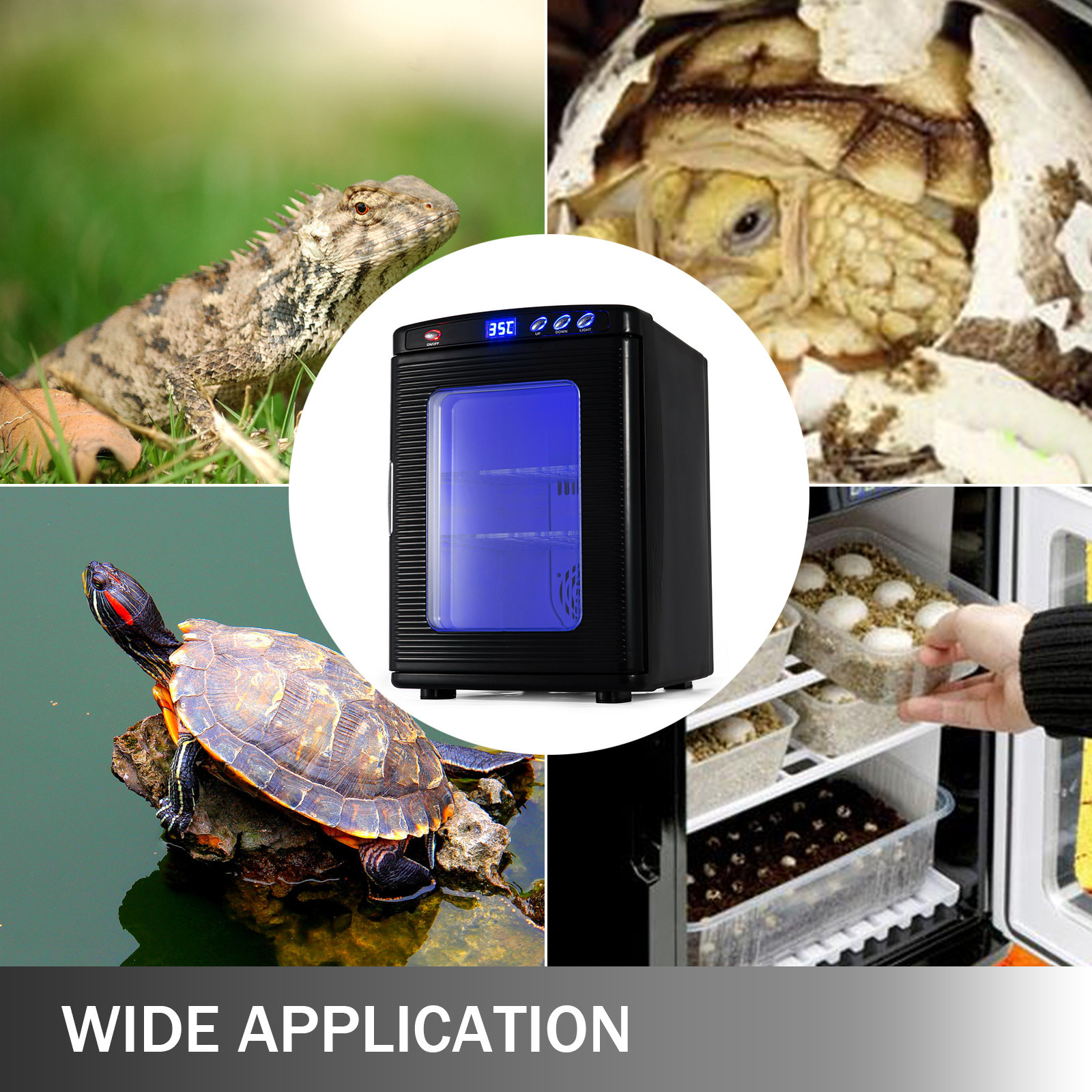 Fully Automatic Incubator Egg Hatching Machine Reptile Egg Incubator For Lizard Snake incubators hatching eggs