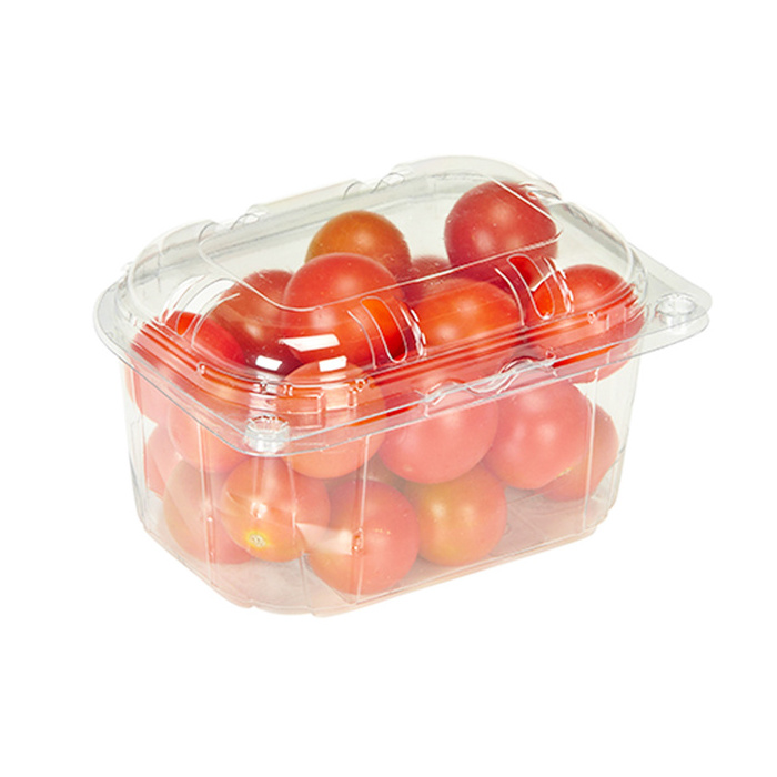 Custom 250g blister disposable clear plastic packing berry strawberry blueberry clamshell box fruit packaging container