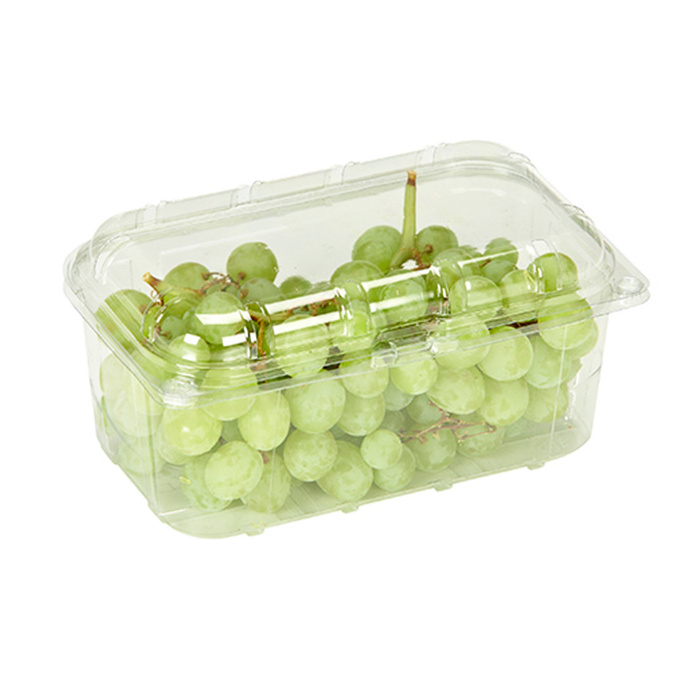 Custom 250g blister disposable clear plastic packing berry strawberry blueberry clamshell box fruit packaging container