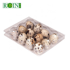 18 24 30 Holes PET Clear Rectangular Plastic Blister Quail Egg Tray Disposable Egg Tray Box Quail Egg Case Packaging with Lid