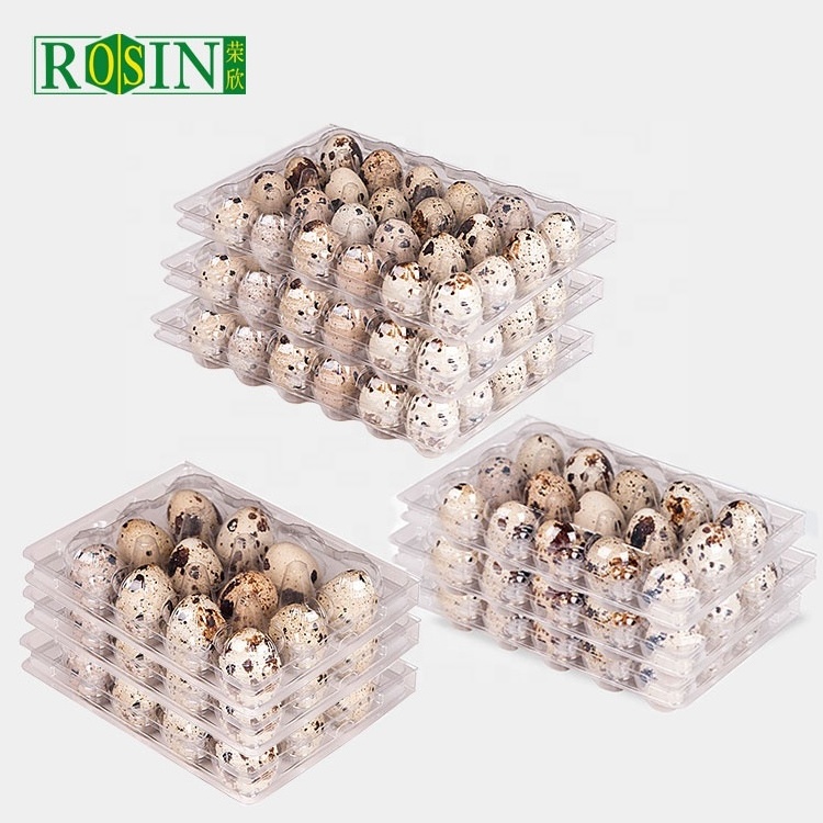 15 Holes Hinged Clamshell Disposable Clear Blister Plastic Quail Eggs Cartons Packaging Egg Trays Manufacturer