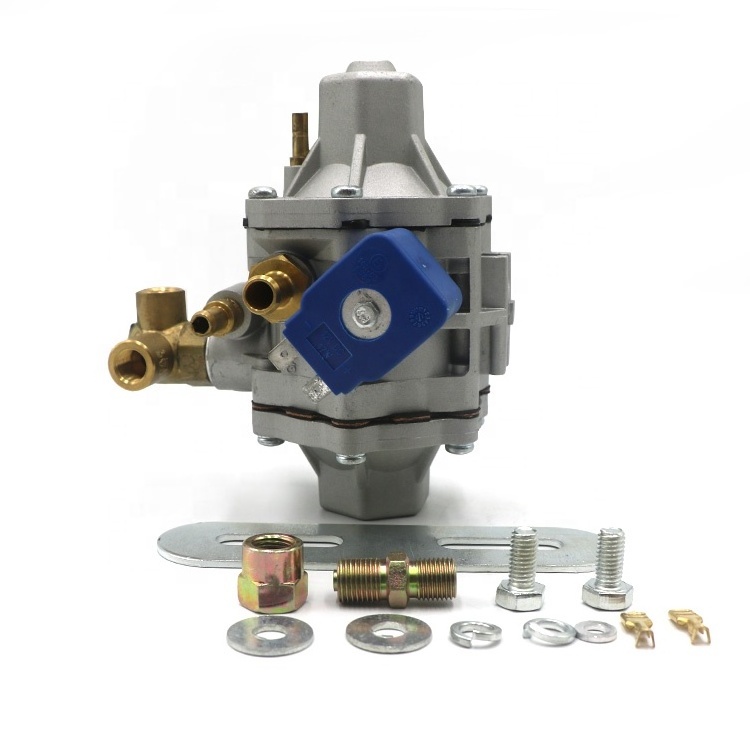 OEM Dual Fuel Lpg Conversion Kit AT12 Type Multi Point Lpg Cng Glp Gas Injection Kit Cng Reducer