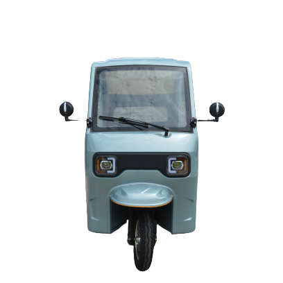 Chang li Hot sale Rickshaw 3 wheel taxi passenger electric tricycle/tuktuk