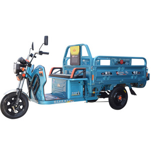 2020 Chang li hot sale 3 wheel electric express tricycle cargo bike/food delivery cargo tricycle /electric cargo van