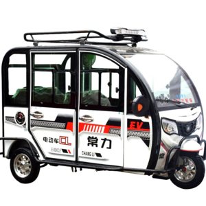 2020 Chinese new cheap adult 3 passenger carry tricycle 3 wheel electric car price