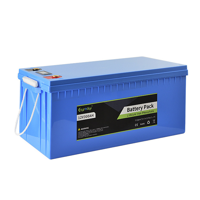 LiFePO4 Battery Pack 12V 200ah 250ah 300ah 400ah 500ah for RV Camping caravan Agv UPS Storage Battery