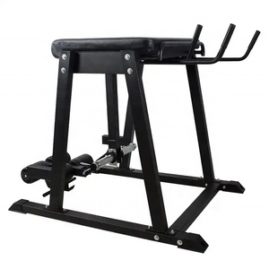 Hyper Extension Bench Fitness Equipment Sales Reverse Hyper Extension Plate Loaded Machines