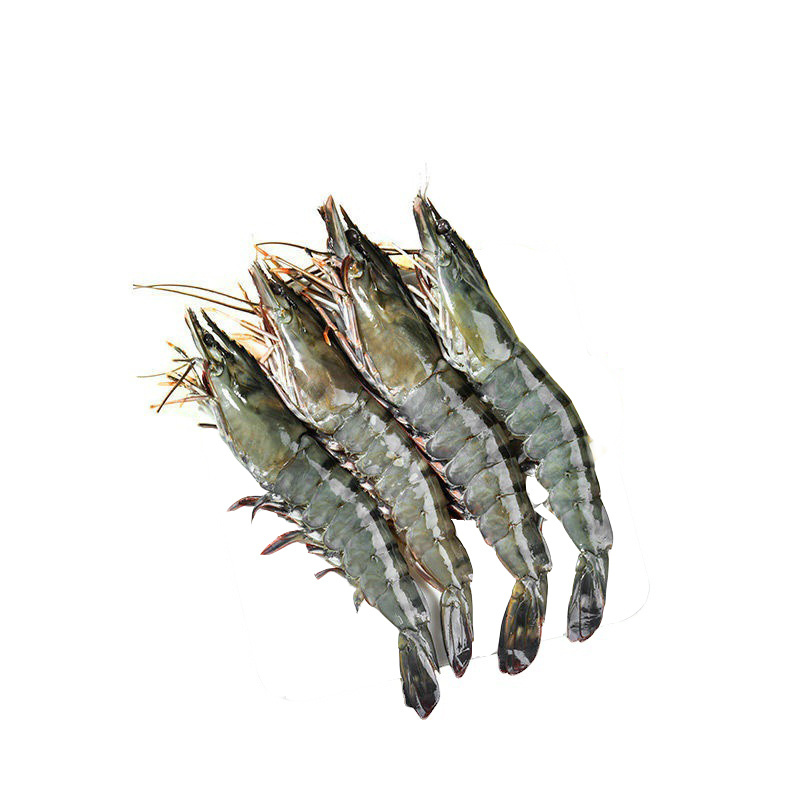 Hot selling factory wholesale price high quality frozen black tiger shrimp high nutritional value frozen shrimp